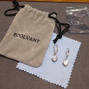 Stunning Silver Tone Drop Earrings